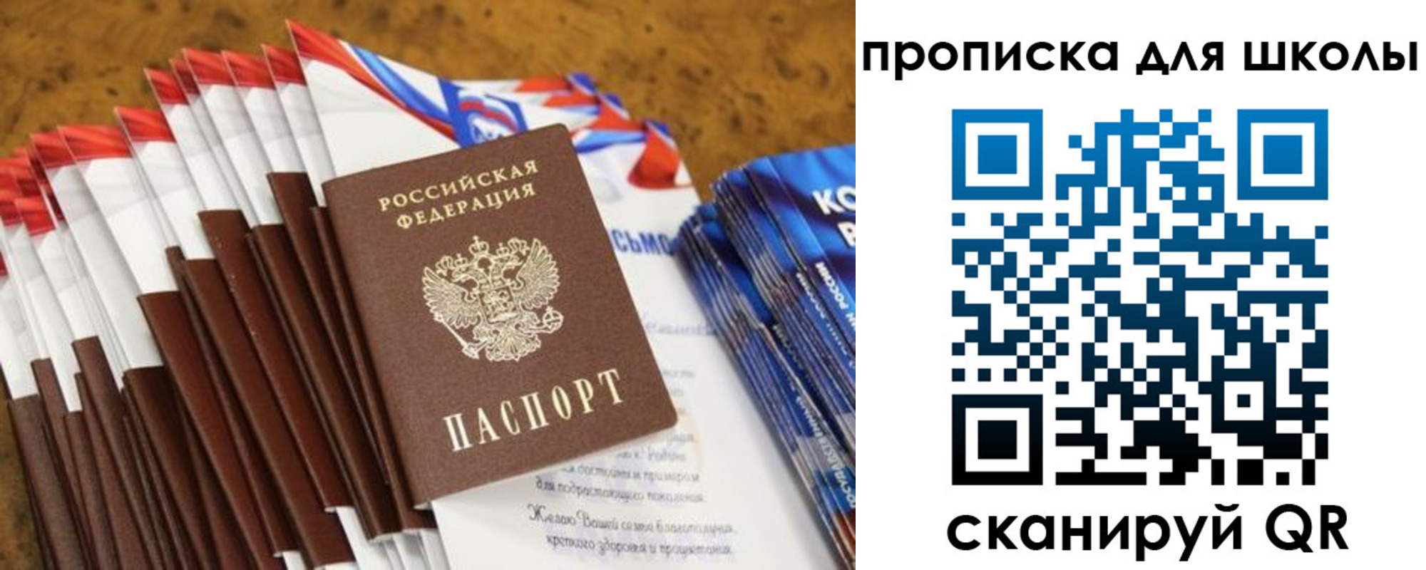 прописка паспорт в Ельне